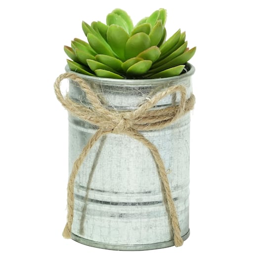 7" Lime Green Mini Sprouting Rose Succulent in Tin Planter By Northlight in Silver | Michaels®